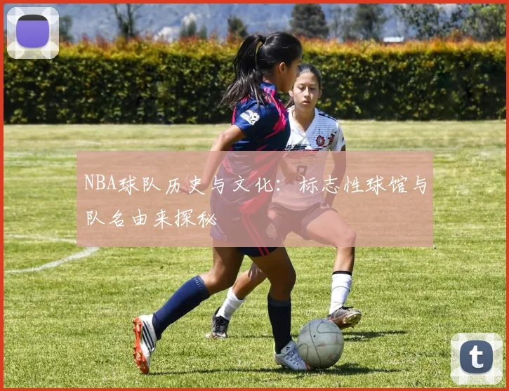 NBA球队历史与文化：标志性球馆与队名由来探秘